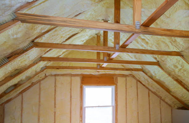 Types of Insulation We Offer in Cando, ND