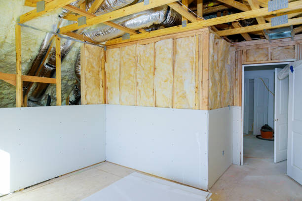 Best Insulation Maintenance and Repair in Cao, ND