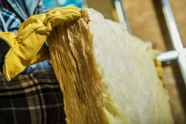 Types of Insulation We Offer in Cando, ND