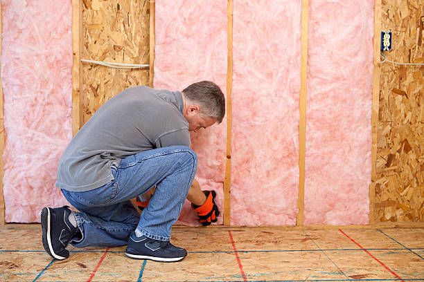 Best Eco-Friendly Insulation in Cao, ND